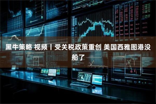 黑牛策略 视频丨受关税政策重创 美国西雅图港没船了