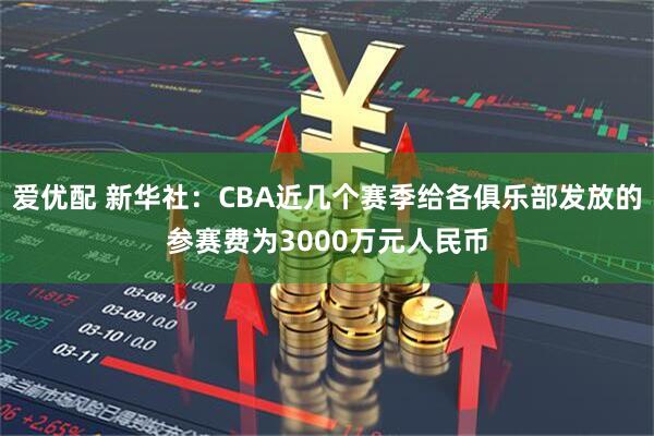 爱优配 新华社：CBA近几个赛季给各俱乐部发放的参赛费为3000万元人民币