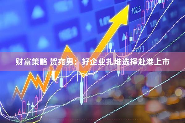 财富策略 贺宛男：好企业扎堆选择赴港上市