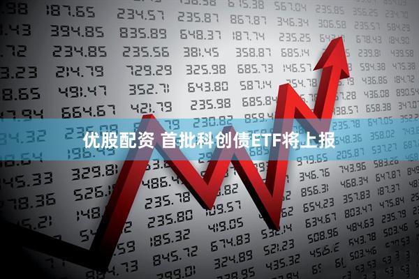 优股配资 首批科创债ETF将上报