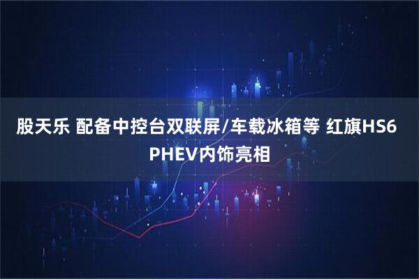 股天乐 配备中控台双联屏/车载冰箱等 红旗HS6 PHEV内饰亮相