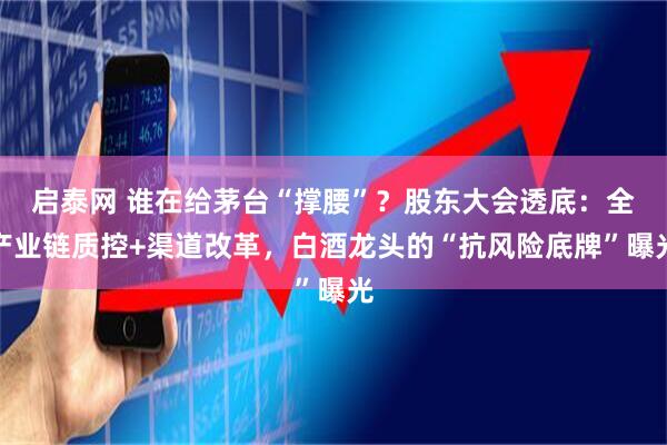 启泰网 谁在给茅台“撑腰”？股东大会透底：全产业链质控+渠道改革，白酒龙头的“抗风险底牌”曝光